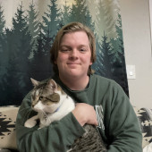 Cat Parent To 3 Lifelong Pet Experience