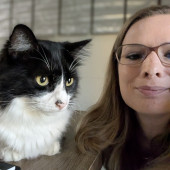 An Honest And Reliable Cat Lover