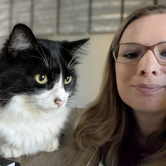 An Honest And Reliable Cat Lover An Honest And Reliable Cat Lover