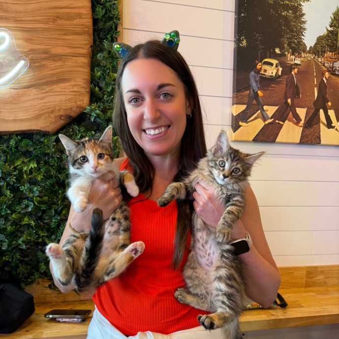 Purrfessional Cat Sitter