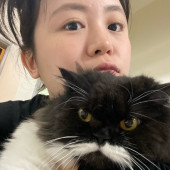 Hi It's Becca A Cat Lover