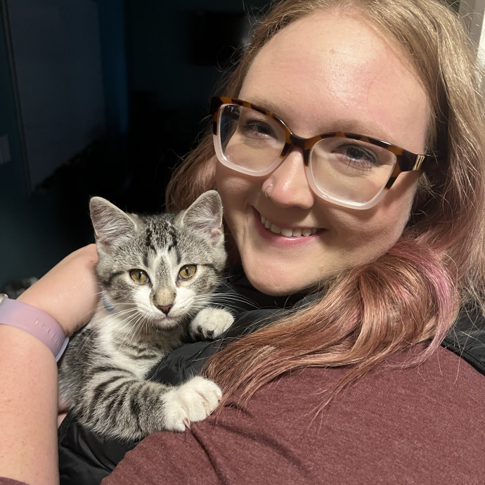 Journey Of A Crazy Cat Lady