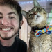 Welcome To The Hiat Meowtel