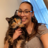 Purr-Fect Cat Care While You're Away