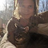 Can't Fight This Feline