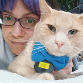 I'll Greet A Cat Before I Greet A Human