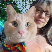 I'll Greet A Cat Before I Greet A Human