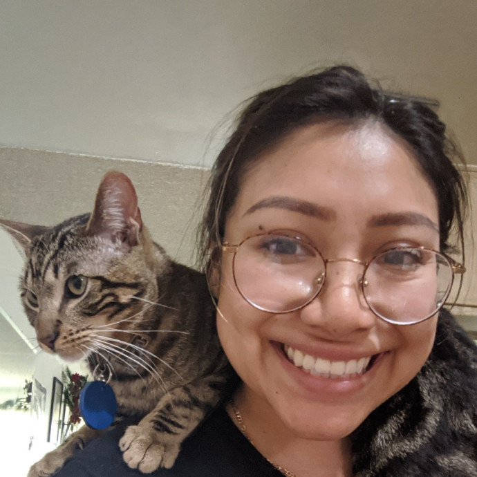 Cat Care Tailored Just For Your Babies