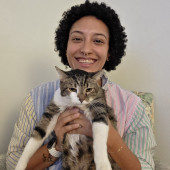 Felines Just Wanna Have Fun