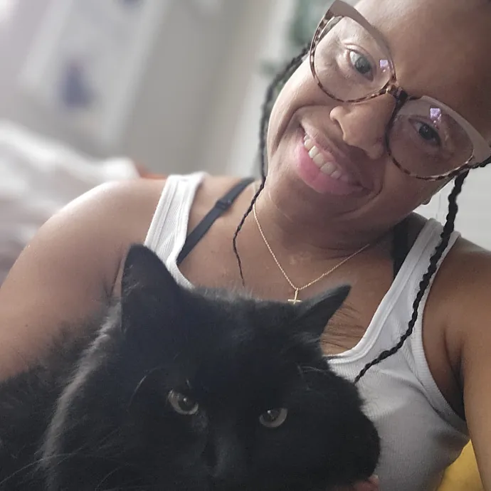 Your Purrfect Sitter