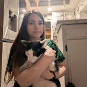 Lifelong Cat And Kitten Parent