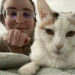 All Kitties Are Silly Kitties
