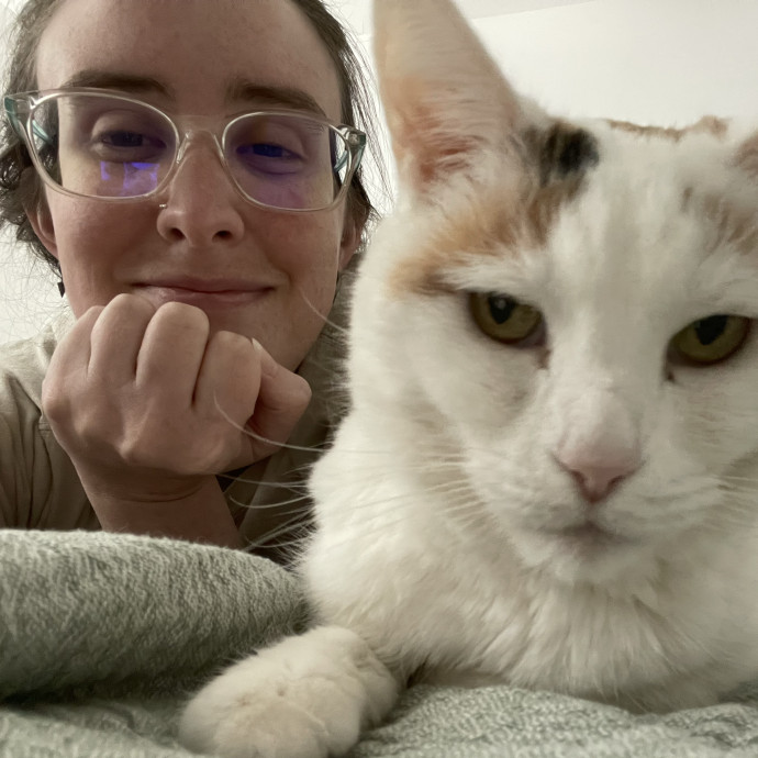 All Kitties Are Silly Kitties