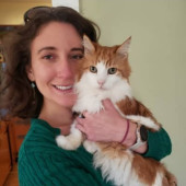 Cat Care Extraordinaire
