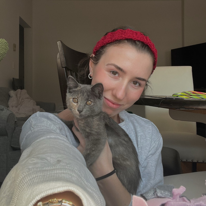 Reliable And Caring Sitter For Your Cat