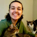 Rye's Meowvelous Seattle Catsitting