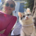 Experienced Foster Parent And Sitter