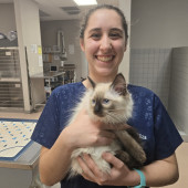 Vet Nursing Student And Cat Owner