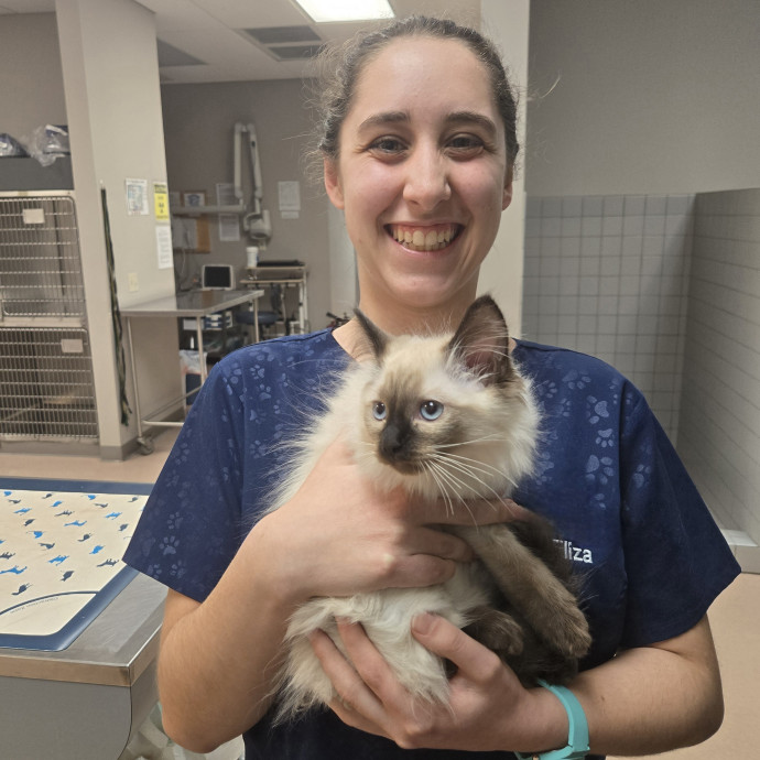 Vet Nursing Student And Cat Owner Vet Nursing Student And Cat Owner