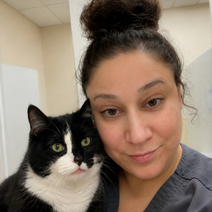Loving Reliable Experienced Cat Sitter