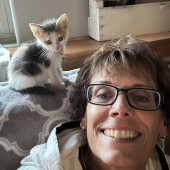 Cat Lover I Adore Cats Of All Ages