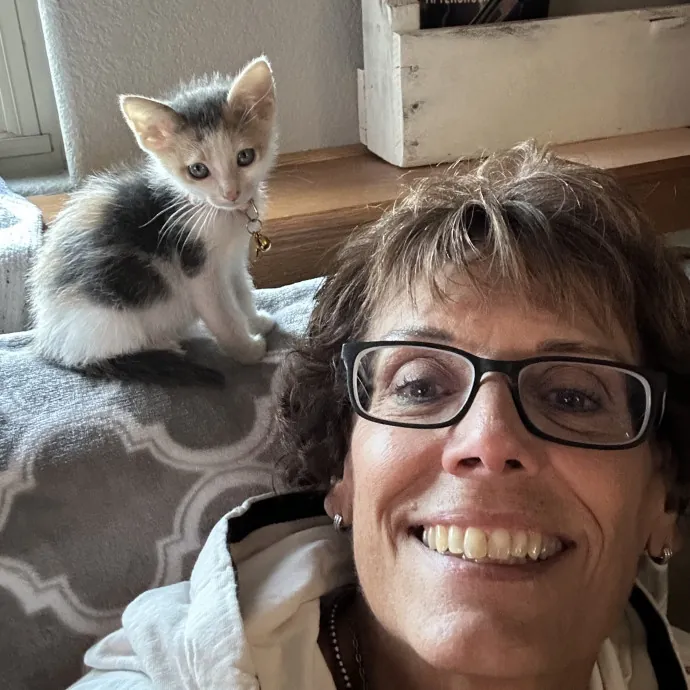 Cat Lover I Adore Cats Of All Ages