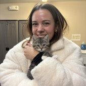 Cat Lover With Lifetime Of Experience