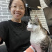 Gentle And Attentive Cat-Sitter