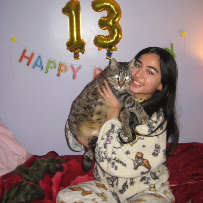 Purr-Fect Cat Care Check Meowt Purr-Fect Cat Care Check Meowt