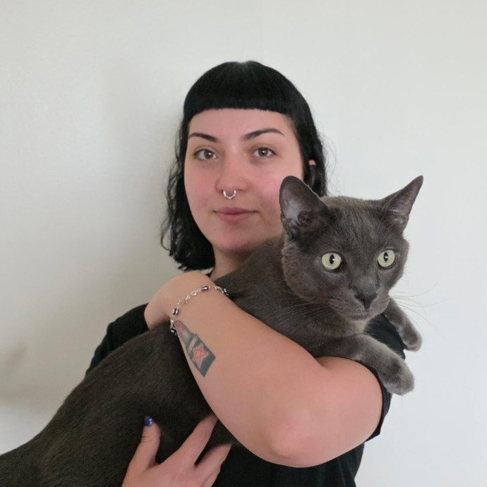 Andy's Cat Sitting Service Andy's Cat Sitting Service
