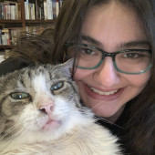 Friendly Cat Care In Grapevinesouthlake