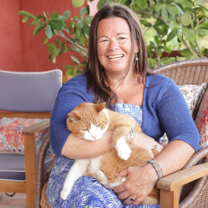 Dixie's Cat Sitting