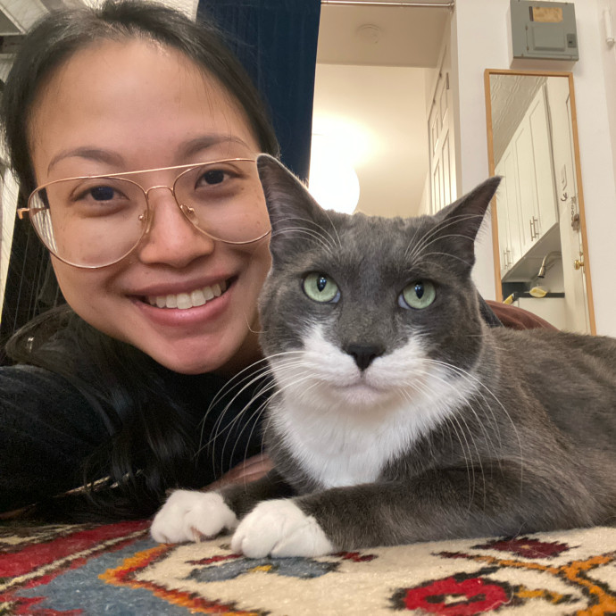 Purrfect Care For Your Purrfect Cat Purrfect Care For Your Purrfect Cat