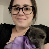 Liz - Foster Kitten And Cat Expert
