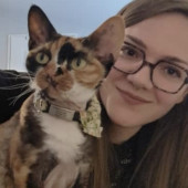 Your Cat's New Favorite Servant