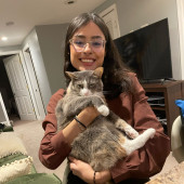 Loving  Reliable Cat Sitter