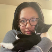 Purr-Fessional Cat Sitter