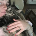 The Cats Meow