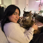 Cat Care From Kittens To Seniors