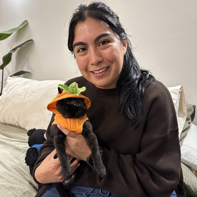 Cat Care From Kittens To Seniors