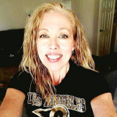 Your New Cat-Care Best Friend