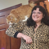 Reliable Cat Care With A Big Heart