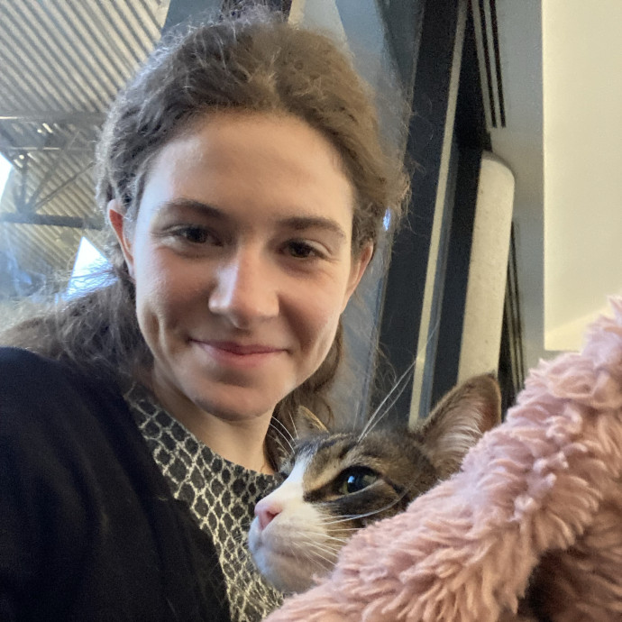 Caring And Playful Cat Sitter