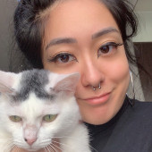 I Love Cats So Much
