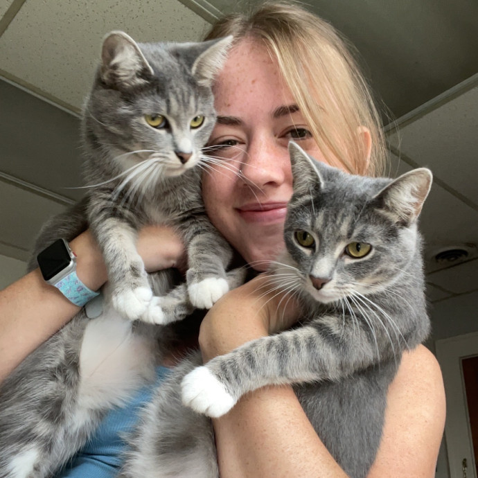 Purrfect Kitty Care Purrfect Kitty Care