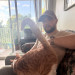 Your Cats Favorite Sitter