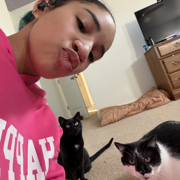 Purr-Fect Care While You're Away