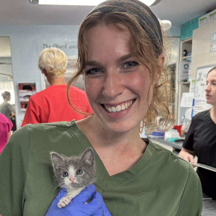 Vet Student And Cat Lover