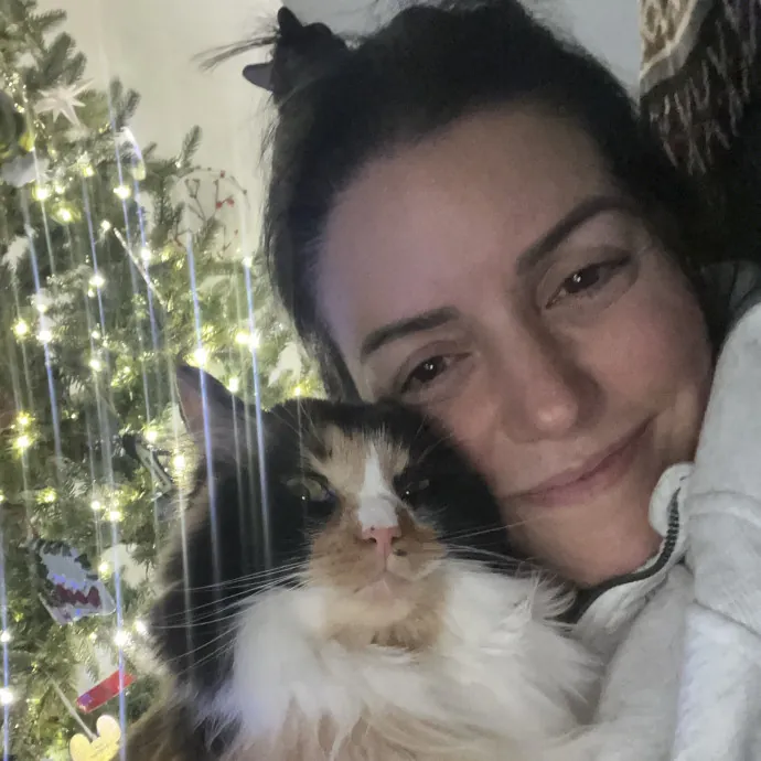 Purrfect Sitter For Your Kitty