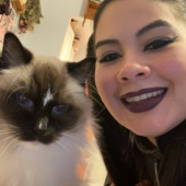 Beth Petz Luxury Pet Care